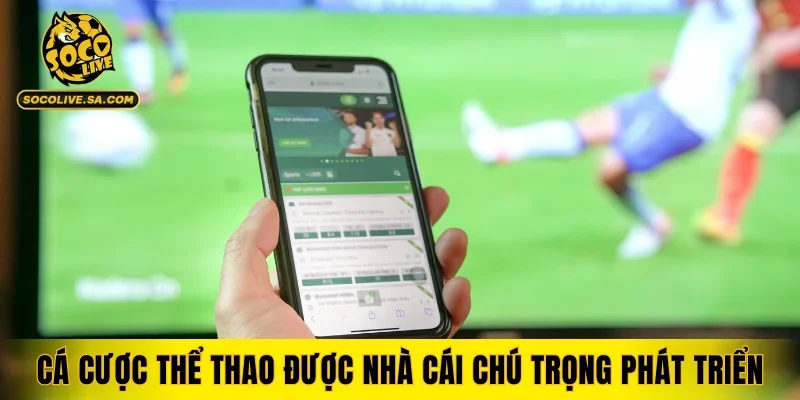 Cá cược thể thao được nhà cái chú trọng phát triển