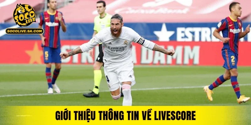 Giới thiệu thông tin về Livescore