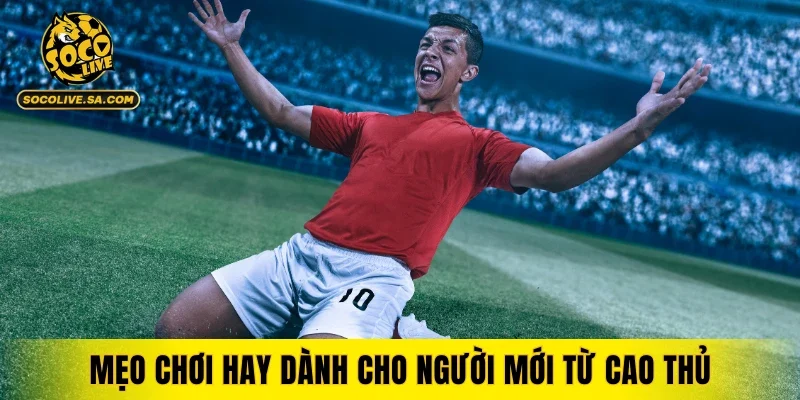 Mẹo chơi hay dành cho người mới từ cao thủ