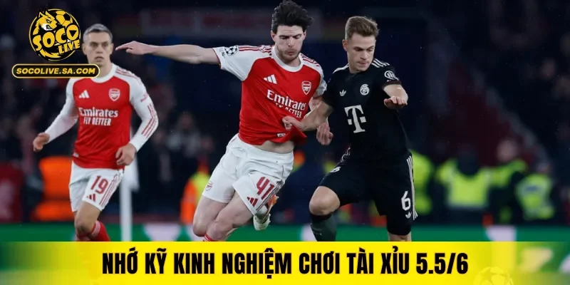 Nhớ kỹ kinh nghiệm chơi O/U 5.5/6 để hạn chế thua