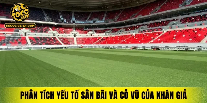 Phân tích yếu tố sân bãi và cỗ vũ của khán giả