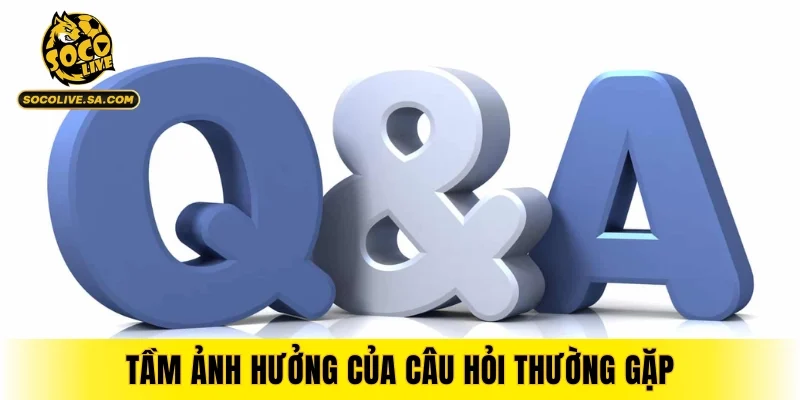 Tầm ảnh hưởng của câu hỏi thường gặp đến trải nghiệm xem thể thao