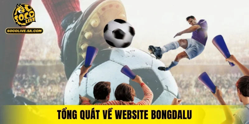 Tổng quát về website Bongdalu